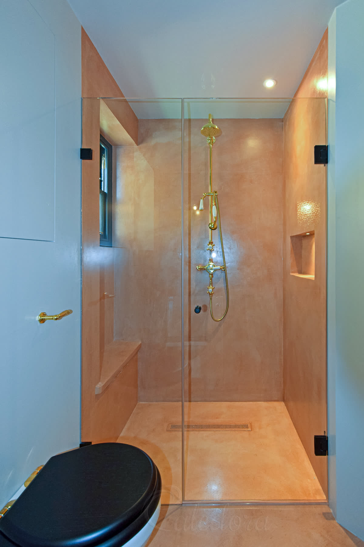 Shower door and inline panel with black hinges and knob — polished brass exposed shower set with rail and handset against warm plaster walls, a built-in bench and lit niche