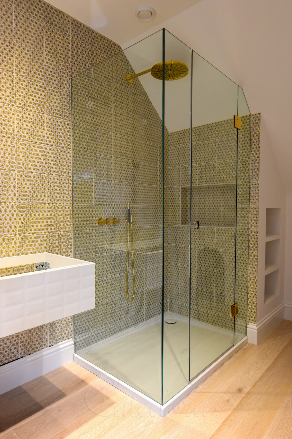 Frameless glass door with brass hinges and circular cut-out handle