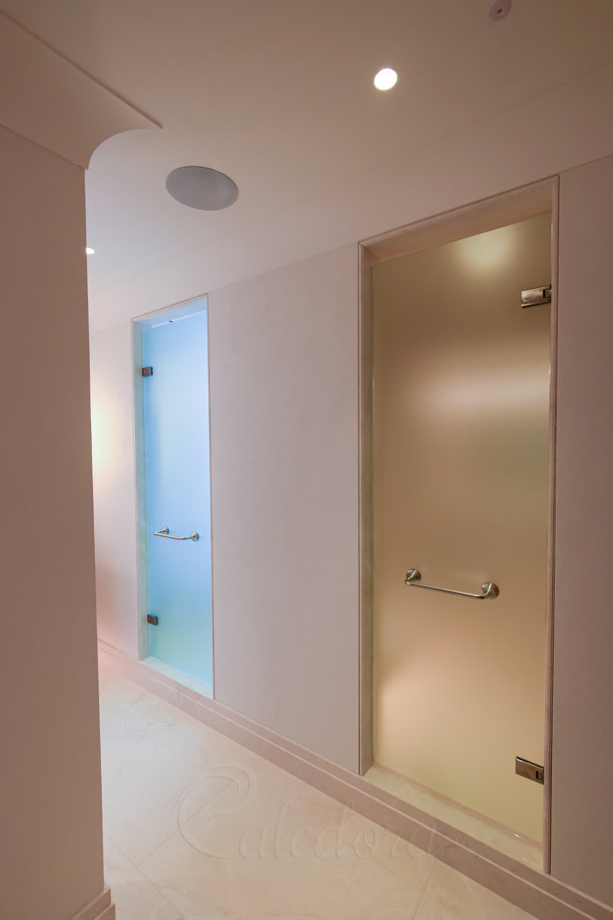 Frosted frameless shower and WC doors in acid-etched glass with stainless hinges and clean finishes