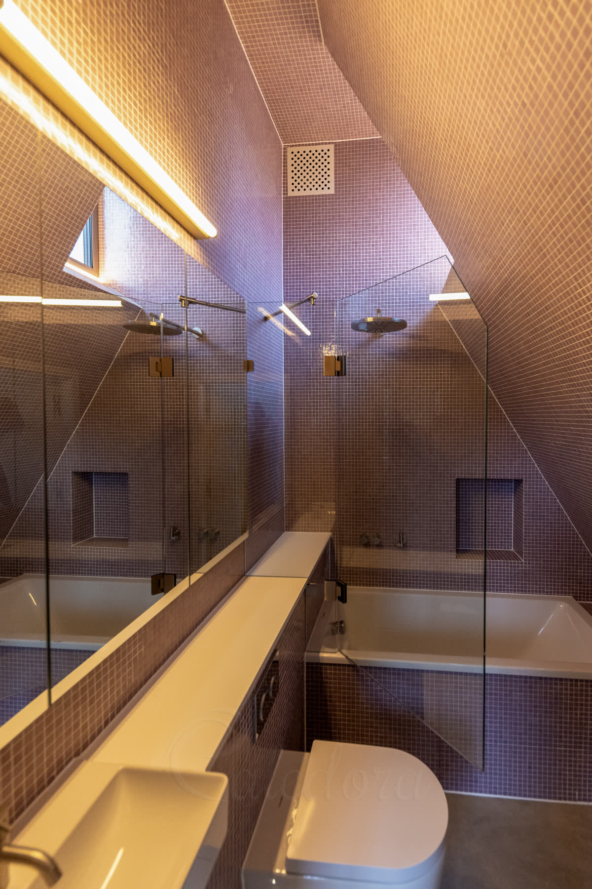 Loft bath screen with rooflight visible on the sloped ceiling section that brings natural light into the compact loft bathroom