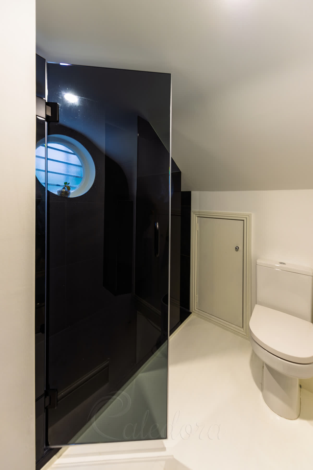 Grey tinted shower screen door open showing dark glass interior reflection