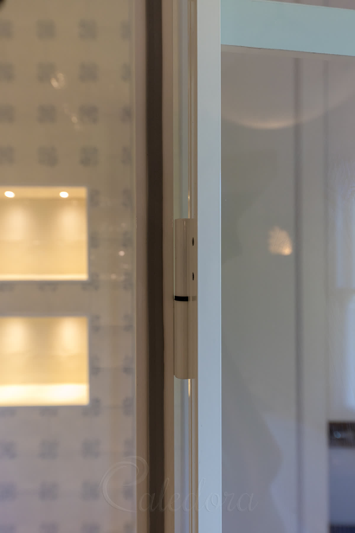 White door hinges with small black washers on shower enclosure