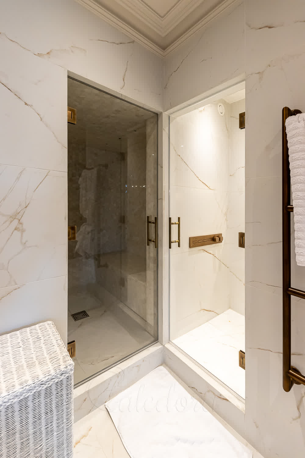 Hinged glass shower door opening both ways